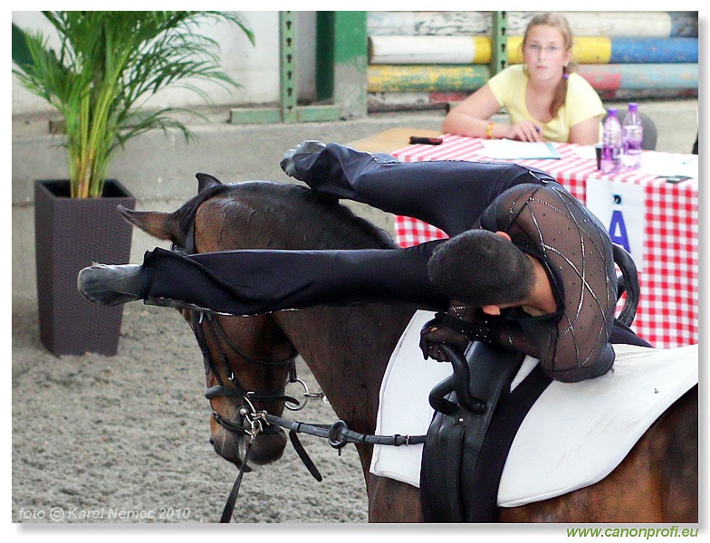 Voltíž - Vaulting 2010