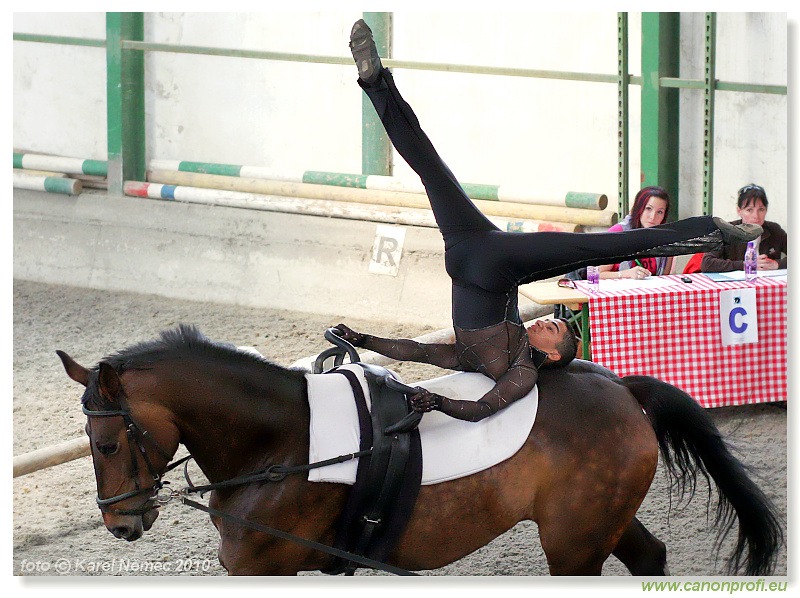 Voltíž - Vaulting 2010