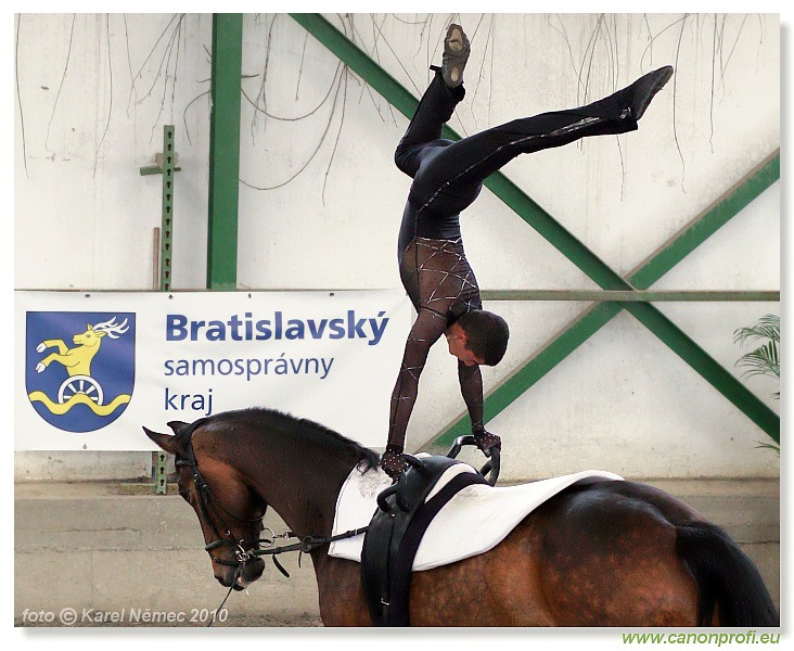 Voltíž - Vaulting 2010