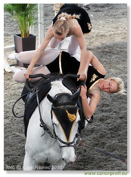 Voltíž - Vaulting 2010