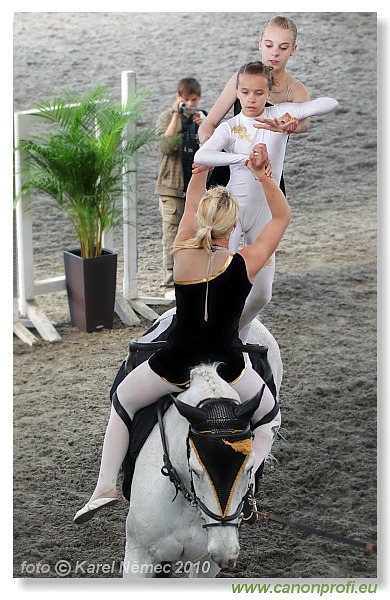 Voltíž - Vaulting 2010