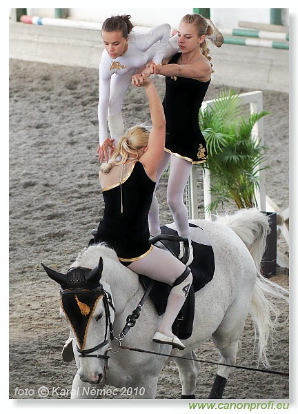 Voltíž - Vaulting 2010