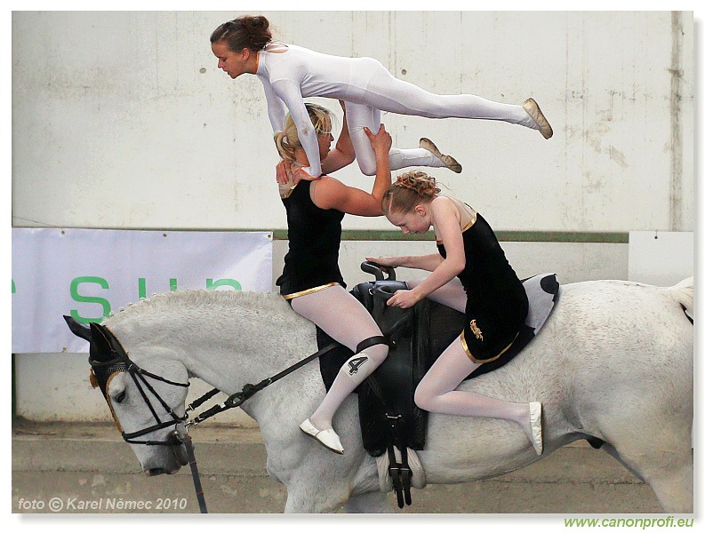 Voltíž - Vaulting 2010