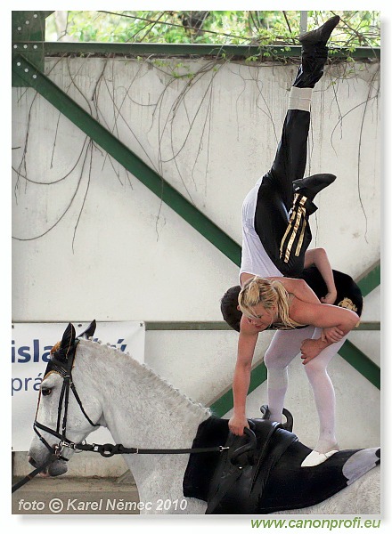 Voltíž - Vaulting 2010