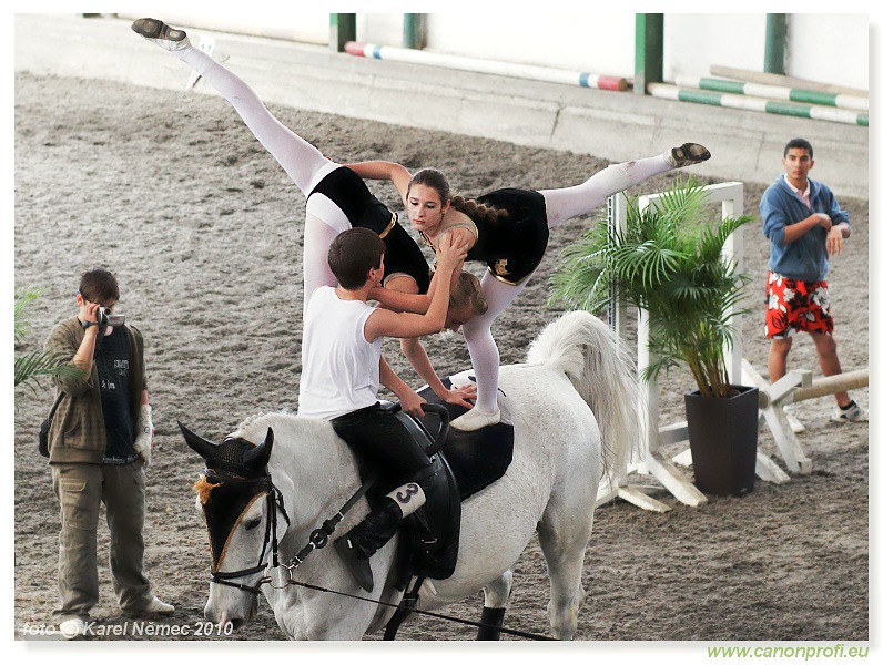 Voltíž - Vaulting 2010