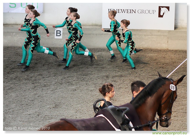 Voltíž - Vaulting 2010