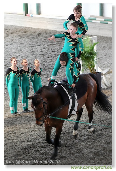Voltíž - Vaulting 2010