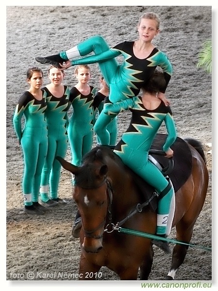 Voltíž - Vaulting 2010