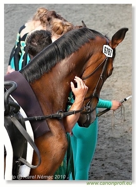 Voltíž - Vaulting 2010