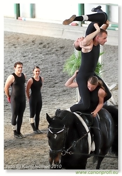 Voltíž - Vaulting 2010