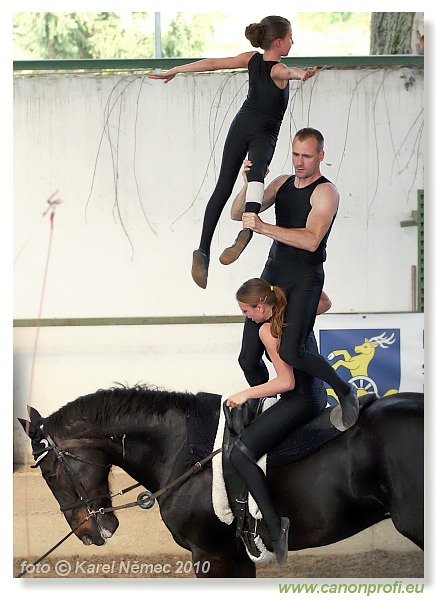 Voltíž - Vaulting 2010