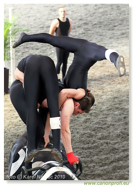Voltíž - Vaulting 2010