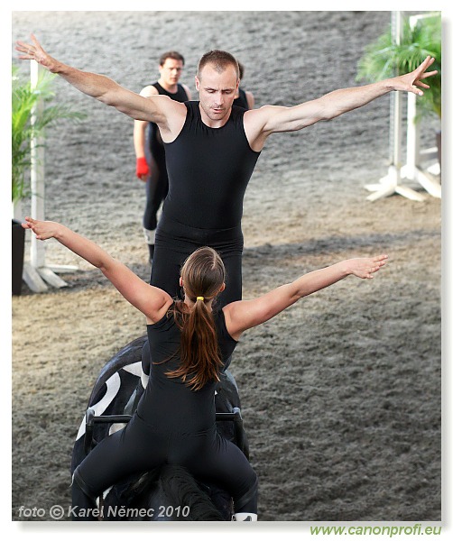 Voltíž - Vaulting 2010