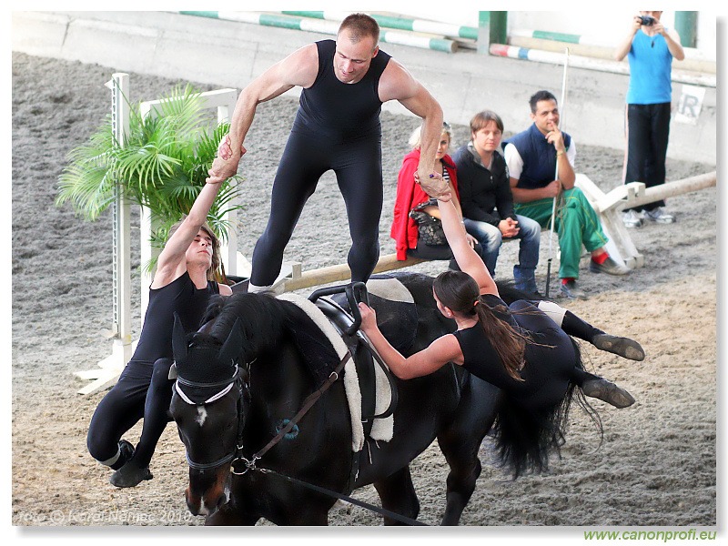 Voltíž - Vaulting 2010