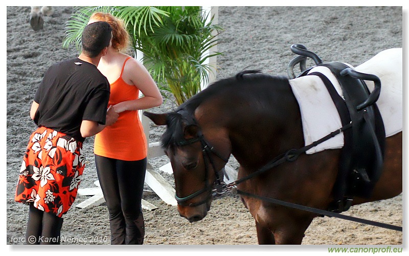Voltíž - Vaulting 2010