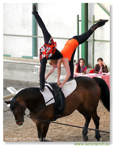 Voltíž - Vaulting 2010