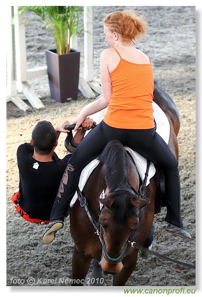 Voltíž - Vaulting 2010
