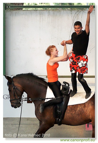 Voltíž - Vaulting 2010