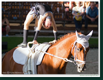 Voltíž - Vaulting