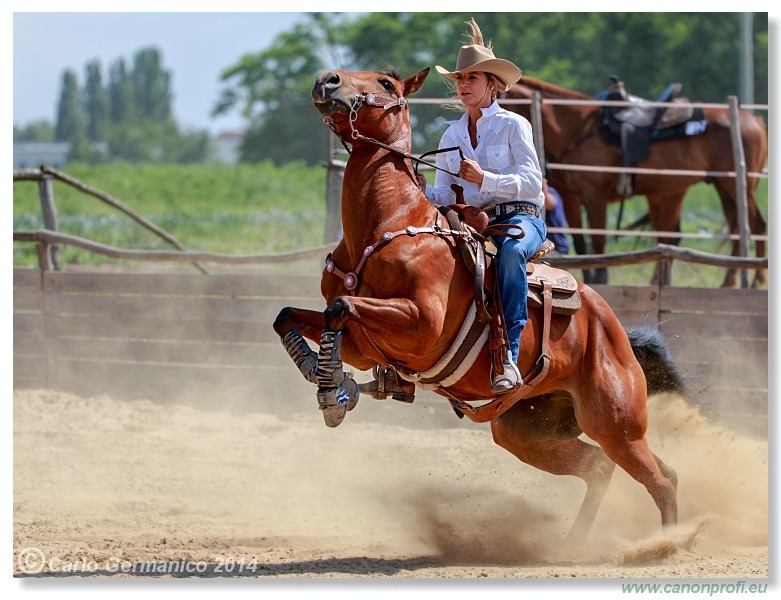 Briežky - 14. júna 2014