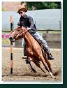 Pole Bending