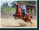 Barrel Race