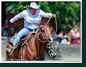 Barrel Race