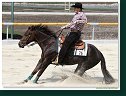 REINING S Open Junior