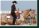 Western Pleasure Open