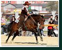 Barrel race Open