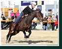 Barrel race Open