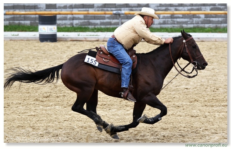 Pezinok - 28. augusta 2010
