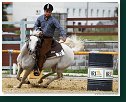 Barrel Race 