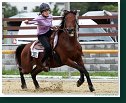 Barrel Race 