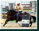 Barrel Race 