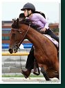 Barrel Race 