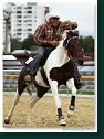 Barrel Race 