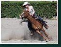 Western Show Pezinok