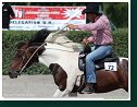 Western Show Pezinok