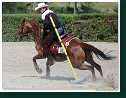 Western Show Pezinok