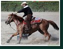 Western Show Pezinok