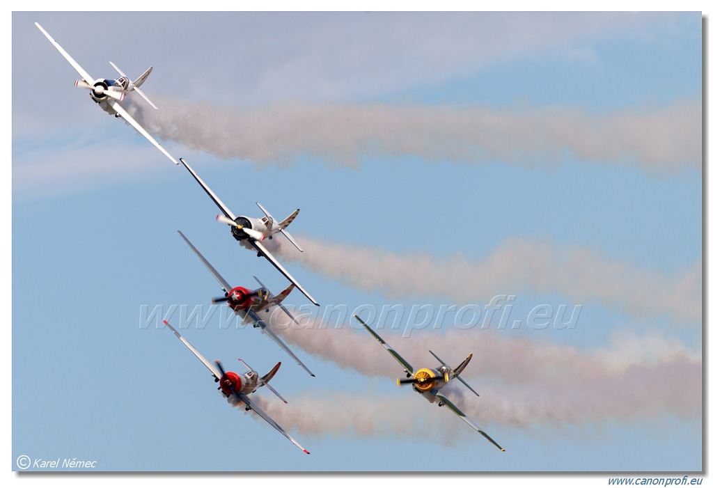 Aerostars Formation Aerobatic Team - 6x Yakovlev Yak-52 TW