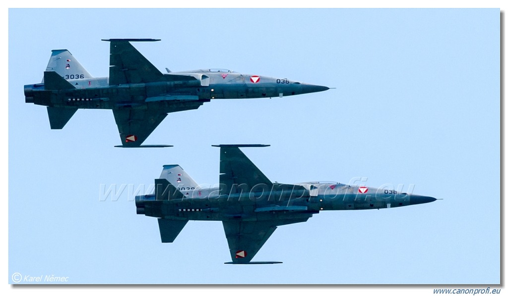 Austrian Air Force - 4x Northrop F-5E Tiger II