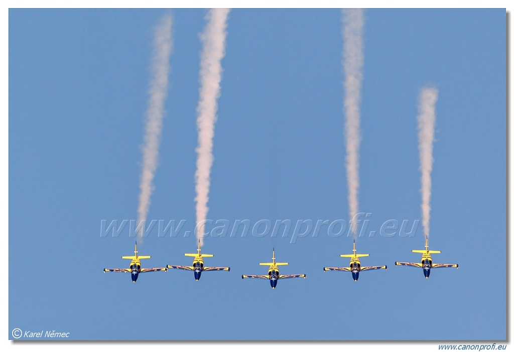 Baltic Bees Jet Team -  5x Aero L-39C Albatros