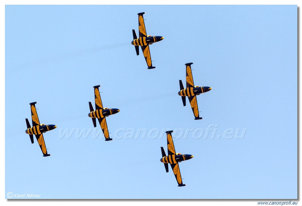 Baltic Bees Jet Team -  5x Aero L-39C Albatros