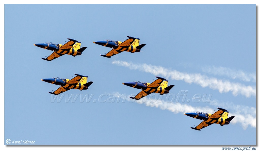 Baltic Bees Jet Team -  5x Aero L-39C Albatros