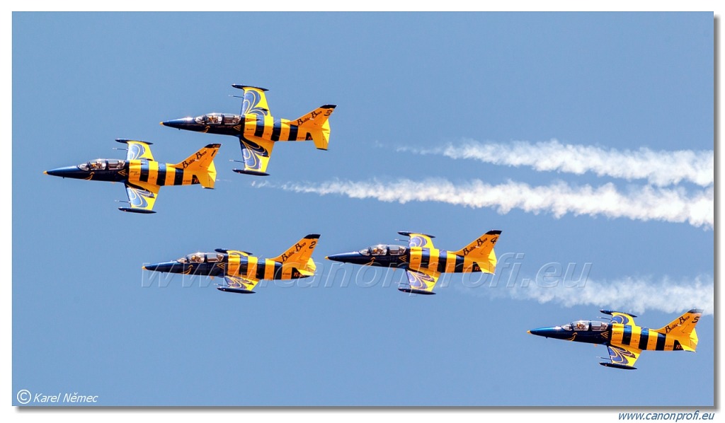 Baltic Bees Jet Team -  5x Aero L-39C Albatros