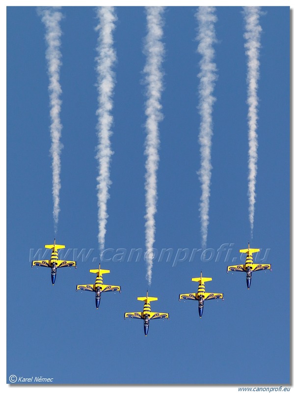 Baltic Bees Jet Team -  5x Aero L-39C Albatros