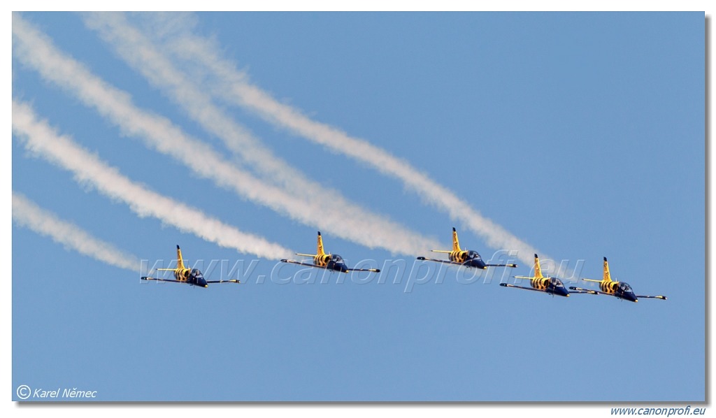 Baltic Bees Jet Team -  5x Aero L-39C Albatros