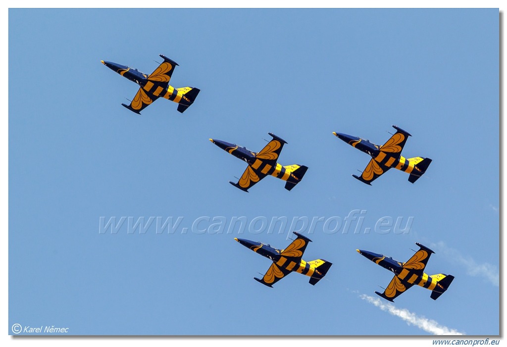 Baltic Bees Jet Team -  5x Aero L-39C Albatros